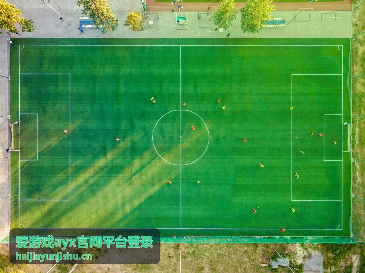 爱游戏ayx官网平台登录攻略指南内容入口