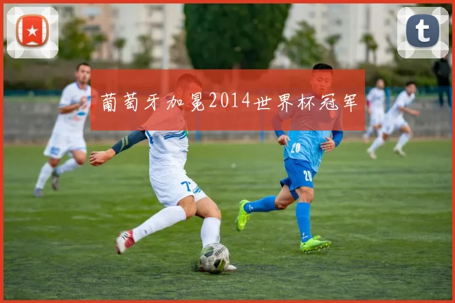 葡萄牙加冕2014世界杯冠军