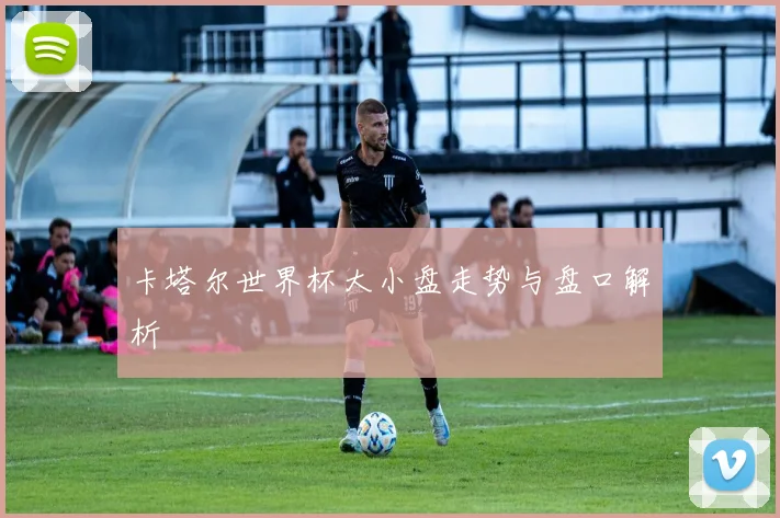 卡塔尔世界杯大小盘走势与盘口解析