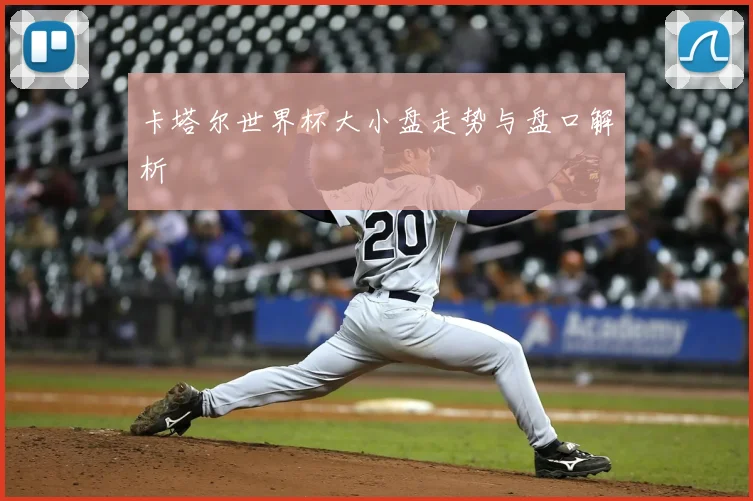 卡塔尔世界杯大小盘走势与盘口解析