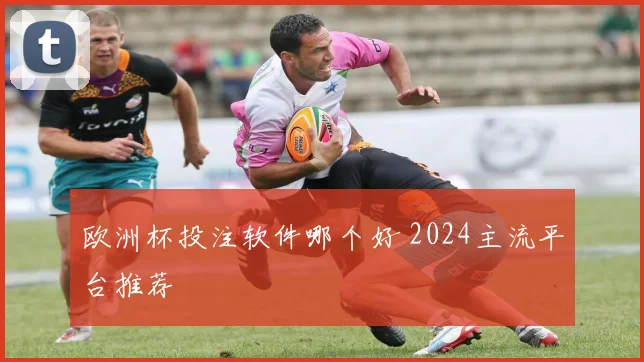 欧洲杯投注软件哪个好 2024主流平台推荐