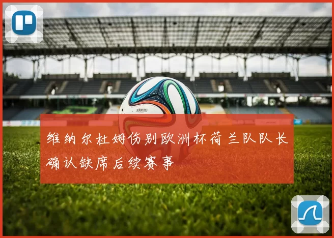 维纳尔杜姆伤别欧洲杯荷兰队队长确认缺席后续赛事