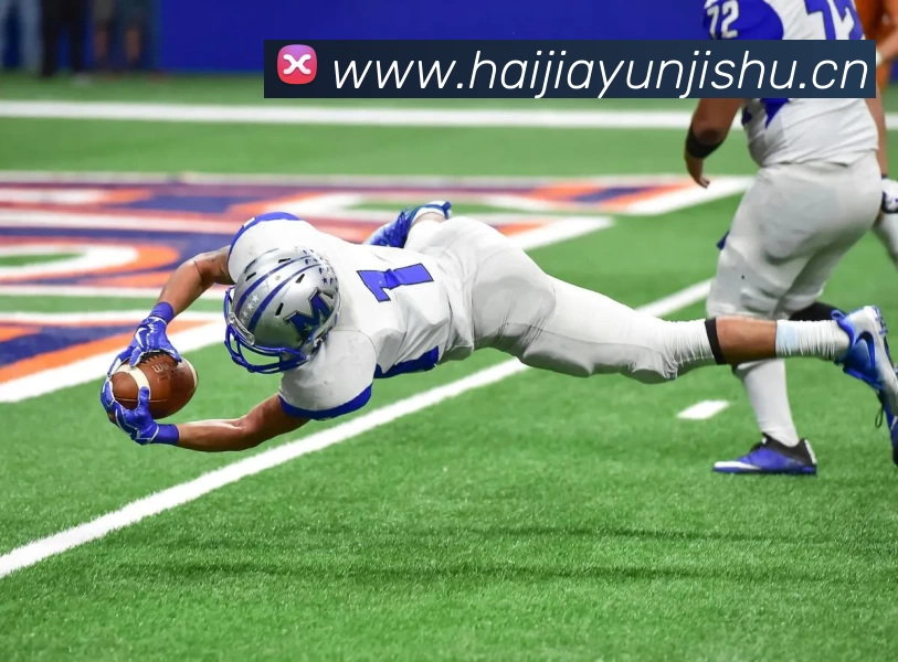 世界杯中国官网平台生态图